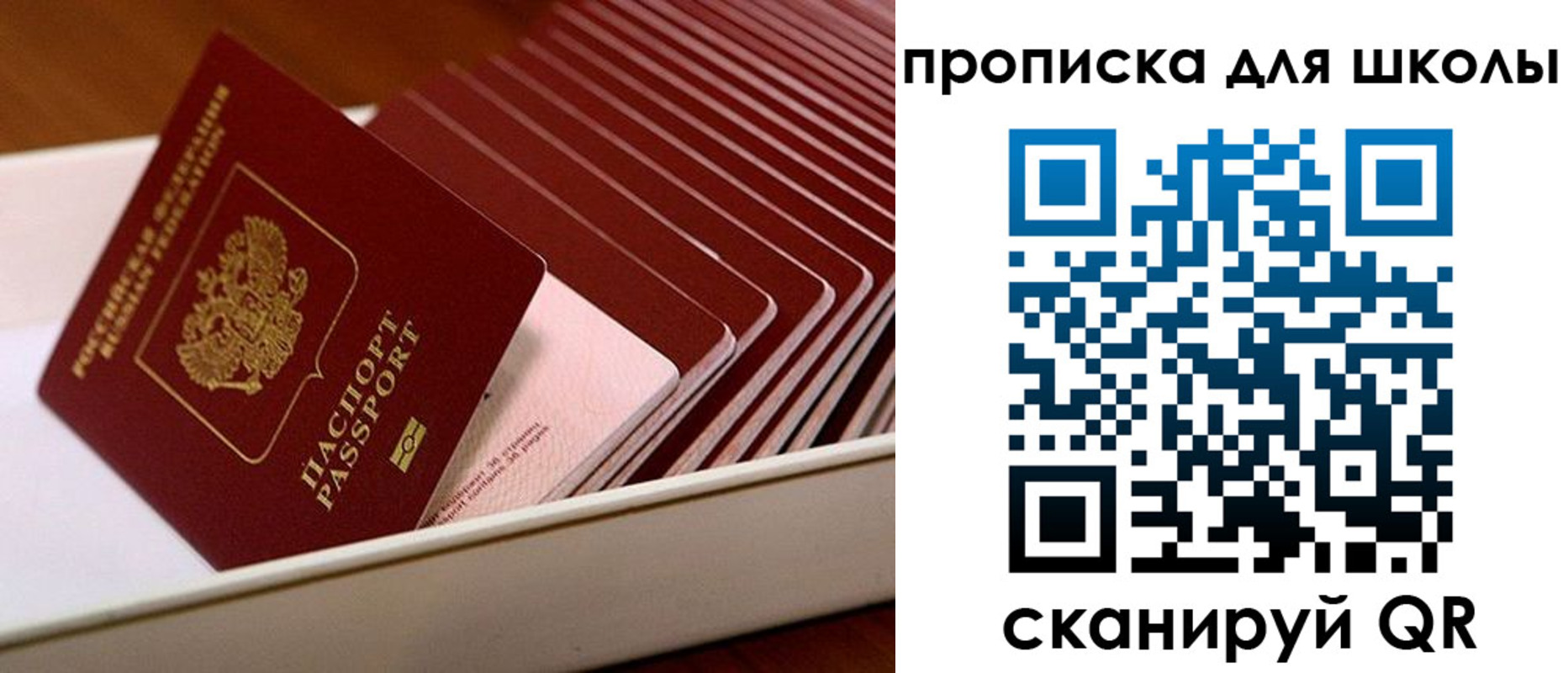 временная регистрация гарантия в Галиче